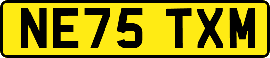 NE75TXM
