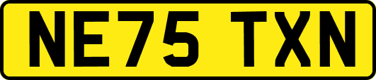 NE75TXN