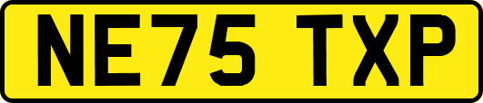 NE75TXP