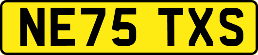 NE75TXS