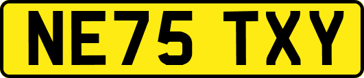 NE75TXY