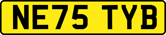 NE75TYB