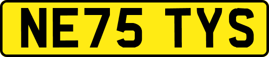NE75TYS