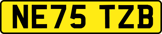 NE75TZB