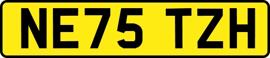 NE75TZH