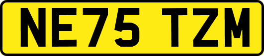 NE75TZM