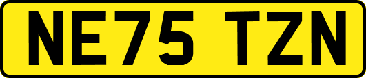 NE75TZN