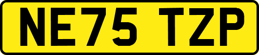NE75TZP