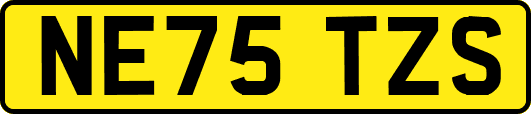 NE75TZS