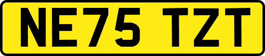 NE75TZT