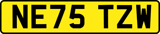 NE75TZW