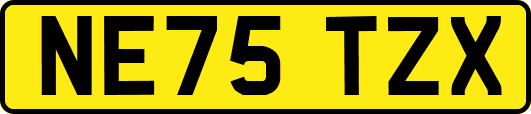 NE75TZX