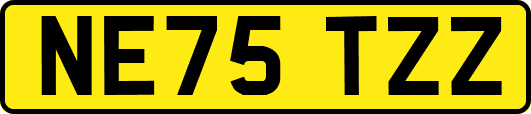 NE75TZZ