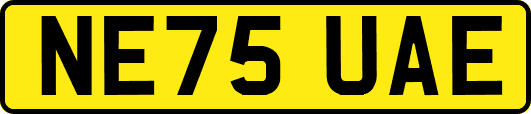 NE75UAE