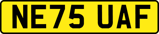 NE75UAF