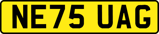 NE75UAG