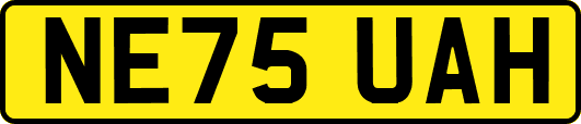NE75UAH