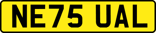 NE75UAL