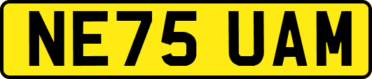 NE75UAM