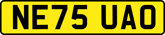 NE75UAO