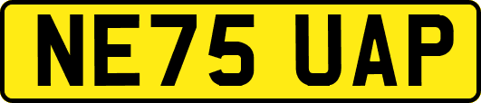 NE75UAP