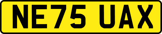 NE75UAX