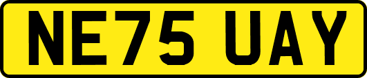 NE75UAY