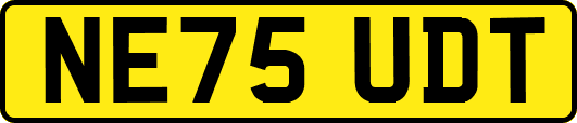 NE75UDT