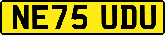 NE75UDU