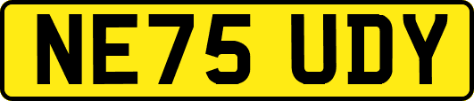 NE75UDY