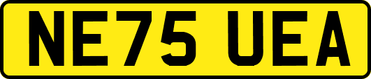 NE75UEA