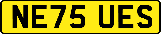 NE75UES