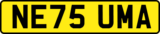 NE75UMA