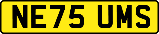 NE75UMS