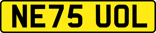 NE75UOL