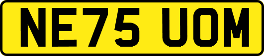 NE75UOM