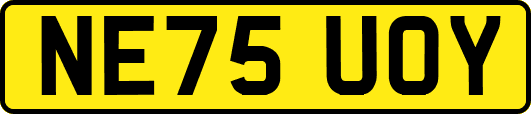NE75UOY