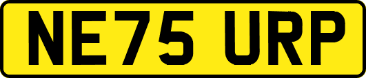 NE75URP