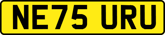 NE75URU