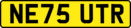 NE75UTR