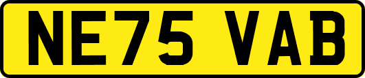 NE75VAB