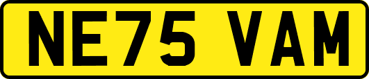 NE75VAM