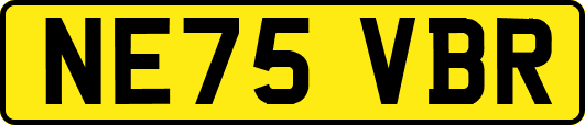 NE75VBR