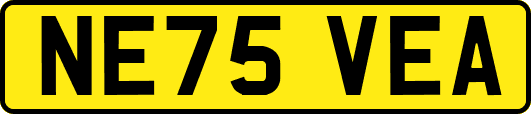 NE75VEA