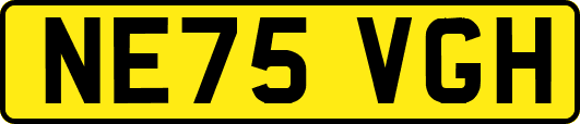 NE75VGH