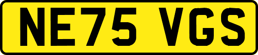NE75VGS