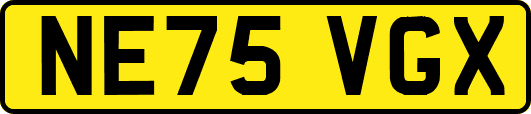 NE75VGX