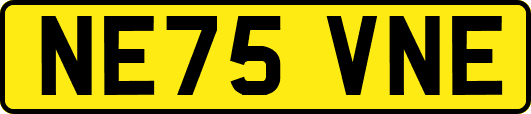 NE75VNE