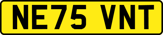 NE75VNT
