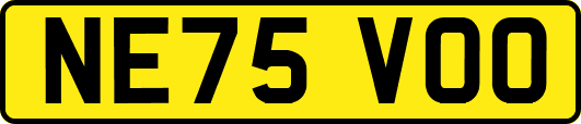 NE75VOO
